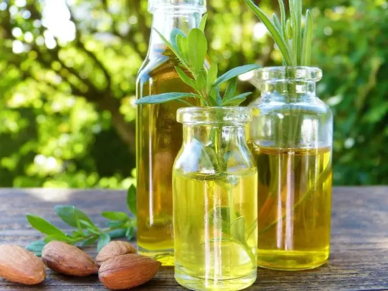 is-almond-oil-good-for-leather-10-pros-and-cons-explained