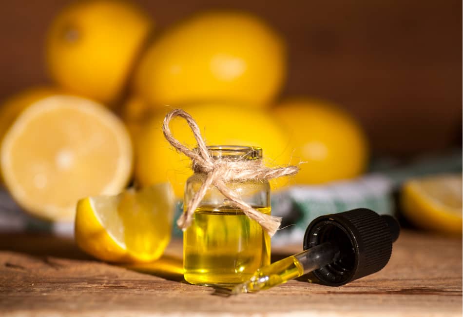 Can You Use Lemon Oil On Leather Furniture