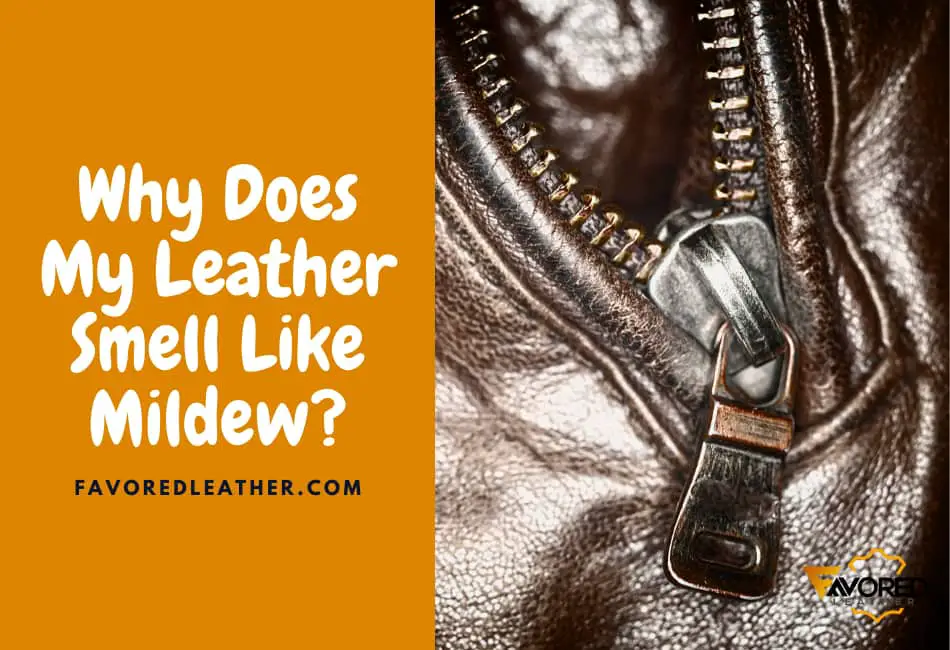 why does my leather smell like mildew