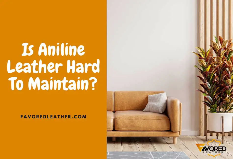 is aniline leather hard to maintain