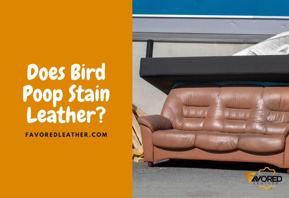 does bird poop stain leather